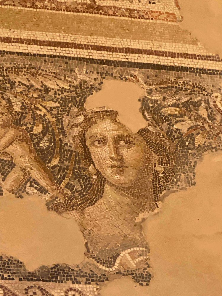 The Mona Lisa of the Galilee mosaic at Sepphoris