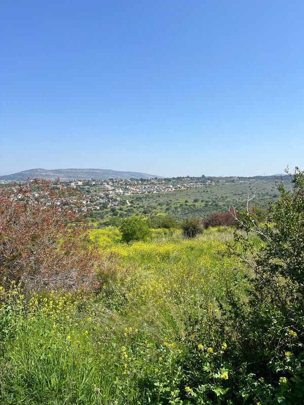 Green hills of the Galilee near Nazareth