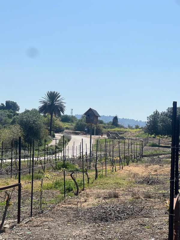 Nazareth Village, a reconstruction of first-century Galilee life