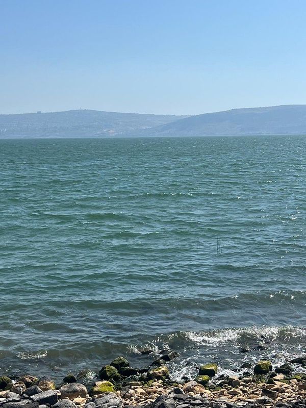 The shore of the Sea of Galilee