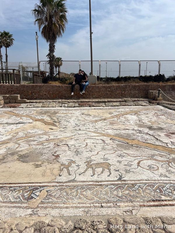 Ancient mosaic floor with animals at Caesarea