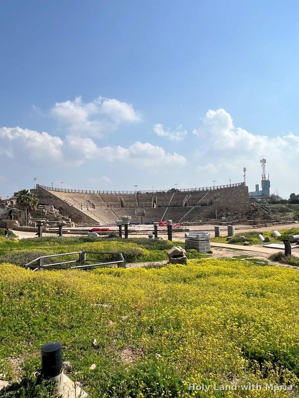 The Roman theatre at Caesarea, wildflowers in spring