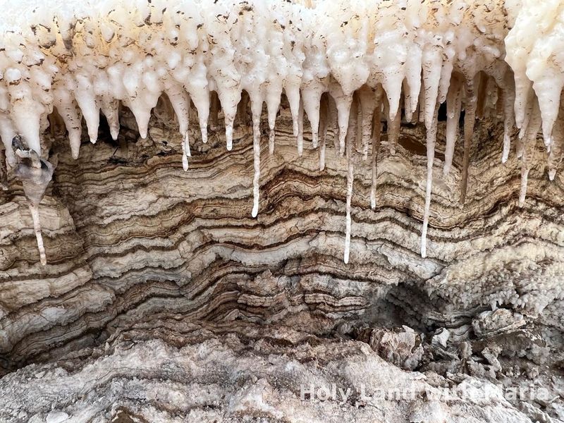 Salt stalactites inside a Dead Sea salt cave