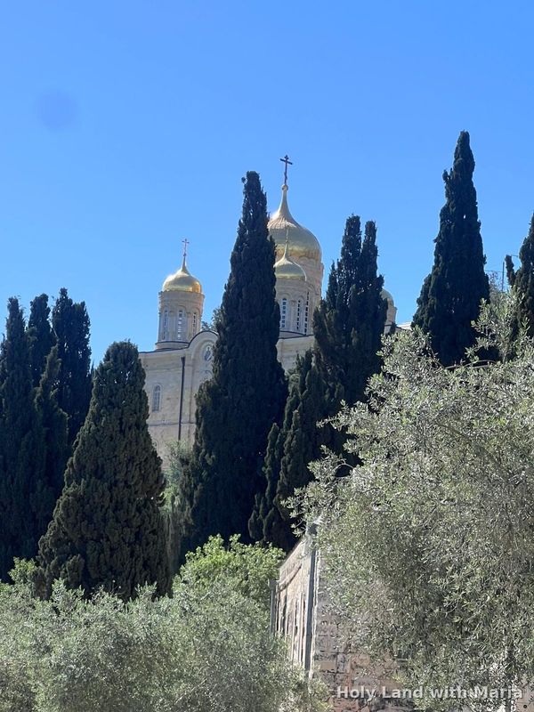 Golden domes of the Russian Gorny Convent among the cypresses, Ein Karem