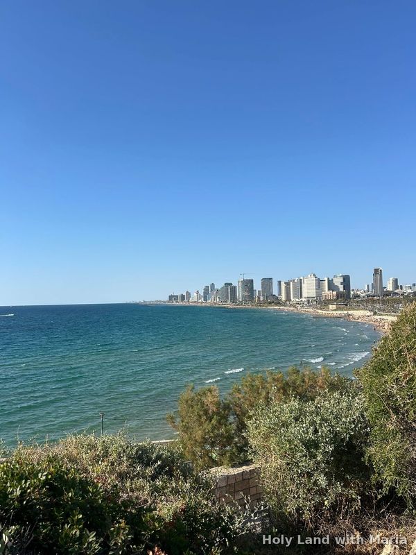 The Tel Aviv skyline seen across the bay from Old Jaffa