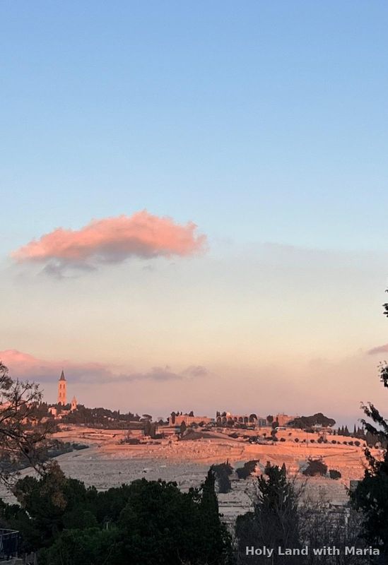 Pink dawn light over Jerusalem and the Mount of Olives