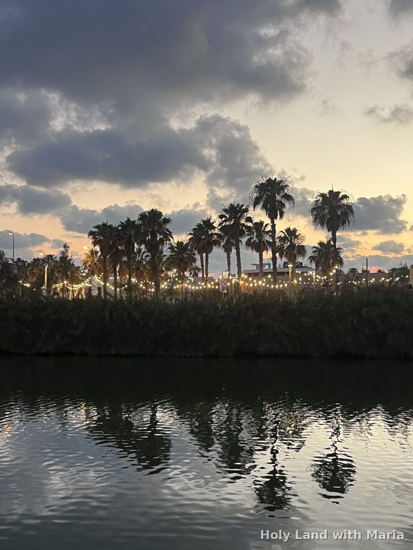 Palm trees at sunset reflected in the Yarkon river, Tel Aviv